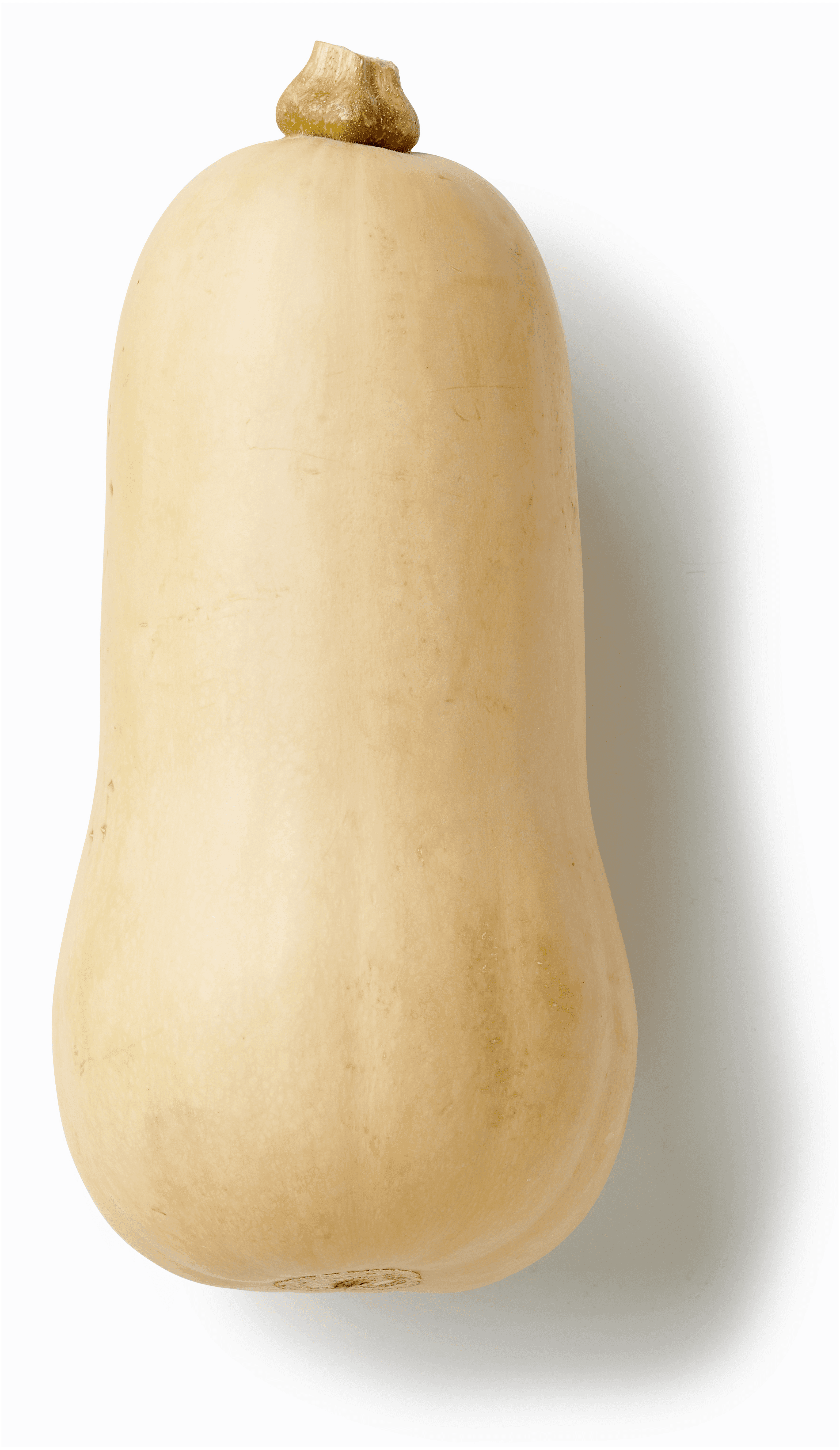 PLUS Flespompoen